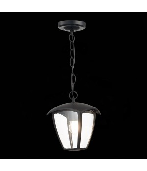 SL081.403.01 Светильник уличный подвесной ST-Luce Черный/Черный, Прозрачный E27 1*40W SIVINO-foto4
