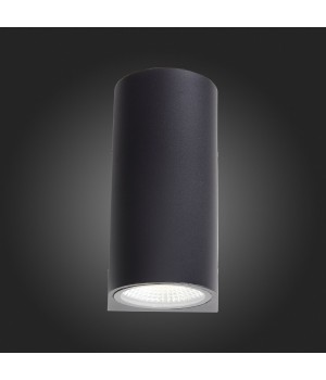 SL088.411.02 Светильник уличный настенный ST-Luce Черный кварцевый LED 2*5W 4000K DEALE-foto5