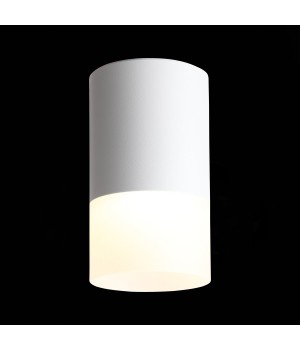 ST100.542.05 Светильник потолочный Белый LED 1*5W 4000K 390Lm Ra>80 120° D64xH110 170-240V OTTU-foto3