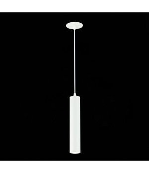 ST151.508.01 Встраиваемый подвес Белый GU10 1*50W IP20 D54xH290 220V Без ламп ST151-foto6