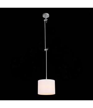 SL460.102.01 Светильник потолочный ST-Luce Хром/Белый E27 1*60W (из 2-х коробок) MARCIA-foto6