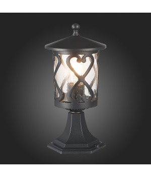 SL085.405.01 Светильник уличный наземный ST-Luce Черный/Черный, Прозрачный E27 1*60W LORNE-foto7