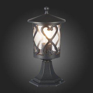 SL085.405.01 Светильник уличный наземный ST-Luce Черный/Черный, Прозрачный E27 1*60W LORNE-foto7