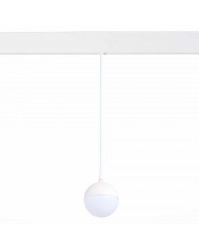 ST358.543.07 Магнитный трековый светильник подвесной белый LED 1*7W 4000K 520Lm Ra>80 120° IP20 D90xH90 48V PIBOLE-foto2