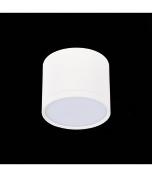 ST113.532.09 Светильник потолочный Белый LED 1*9W 3000K 702Lm Ra>80 120° IP20 D88xH75 170-240V RENE-foto4