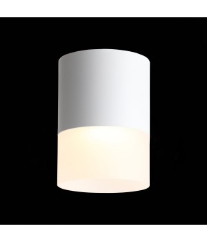 ST100.542.15 Светильник потолочный Белый LED 1*15W 4000K 1 170Lm Ra>80 120° D118xH150 170-240V OTTU-foto3