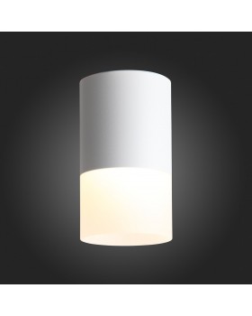 ST100.542.10 Светильник потолочный Белый LED 1*10W 4000K 780Lm Ra>80 120° D78xH135 170-240V OTTU-foto5
