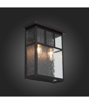 SL079.401.02 Светильник уличный настенный ST-Luce Темный кофе/Прозрачное кракелированное стекло E14 2*60W GLAZGO-foto6