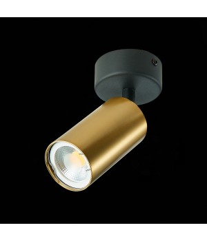 ST303.202.01 Потолочный светильник Золотистый GU10 1*50W IP20 D70xH168 220V Без ламп DARIO-foto4