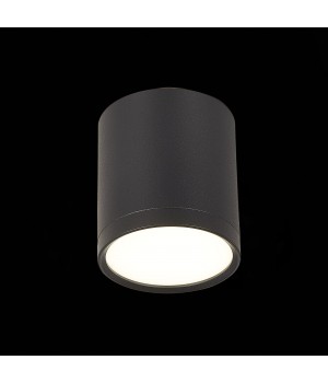 ST113.442.05 Светильник потолочный Черный LED 1*5W 4000K 390Lm Ra>80 120° IP20 D68xH75 170-240V RENE-foto3