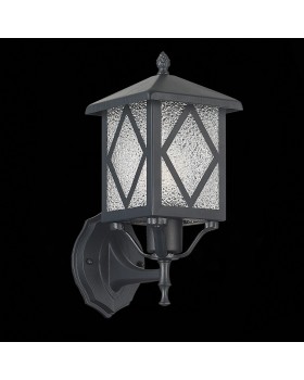 SL084.401.01 Светильник уличный настенный ST-Luce Черный/Черный, Прозрачный E27 1*60W LORNE-foto5