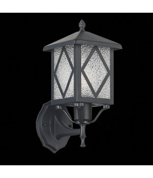 SL084.401.01 Светильник уличный настенный ST-Luce Черный/Черный, Прозрачный E27 1*60W LORNE-foto5