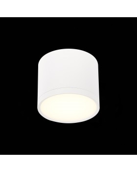 ST113.532.09 Светильник потолочный Белый LED 1*9W 3000K 702Lm Ra>80 120° IP20 D88xH75 170-240V RENE-foto3