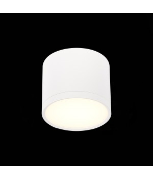 ST113.532.09 Светильник потолочный Белый LED 1*9W 3000K 702Lm Ra>80 120° IP20 D88xH75 170-240V RENE-foto3