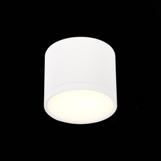 ST113.532.09 Светильник потолочный Белый LED 1*9W 3000K 702Lm Ra>80 120° IP20 D88xH75 170-240V RENE-foto3