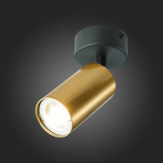 ST303.202.01 Потолочный светильник Золотистый GU10 1*50W  IP20 D70xH168 220V Без ламп DARIO-foto5