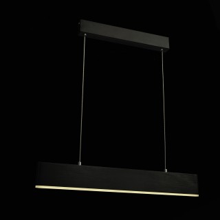SL567.403.01 Светильник подвесной ST-Luce Черный/Черный LED 1*17W 4000K PERCETTI-foto3