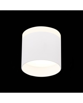 ST102.542.09 Светильник потолочный Белый LED 1*9W 4000K 702Lm Ra>80 120° IP20 D79xH75 170-240V PANAGGIO-foto3