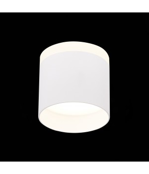 ST102.542.09 Светильник потолочный Белый LED 1*9W 4000K 702Lm Ra>80 120° IP20 D79xH75 170-240V PANAGGIO-foto3