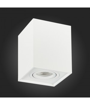 ST109.507.01 Светильник потолочный Мат. белый GU10 1*50W L100xW100xH123 220V Без ламп QUADRUS-foto6