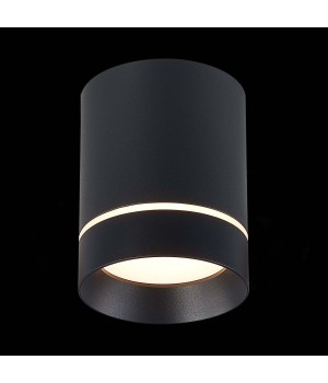 ST115.432.12 Светильник потолочный Черный LED 1*12W 3000K 840Lm Ra>90 120° IP20 D79xH100 170-240V ST115-foto3
