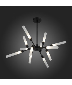 SL1620.402.12 Люстра потолочная ST-Luce Черный/Белый G9 12*5W SPLIO-foto12