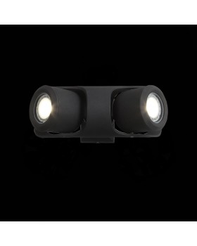 SL093.401.02 Светильник уличный настенный ST-Luce Черный/Черный, Прозрачный G5,3 2*3W ROUND-foto4