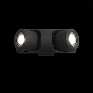 SL093.401.02 Светильник уличный настенный ST-Luce Черный/Черный, Прозрачный G5,3 2*3W ROUND-foto4