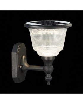 SL9502.401.01 Светильник уличный настенный ST-Luce Черный/Черный, Прозрачный LED 1*2W 3000-6000K SOLARIS-foto7