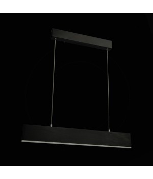 SL567.403.01 Светильник подвесной ST-Luce Черный/Черный LED 1*17W 4000K PERCETTI-foto4