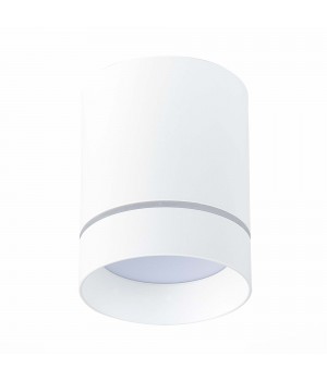 ST115.542.12 Светильник потолочный Белый LED 1*12W 4000K 840Lm Ra>90 120° IP20 D79xH100 170-240V ST115-foto2