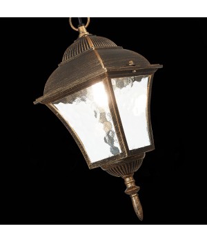 SL082.203.01 Светильник уличный подвесной ST-Luce Бронза/Бронза, Прозрачный E27 1*60W DOMENICO-foto6