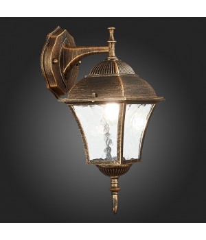 SL082.211.01 Светильник уличный настенный ST-Luce Бронза/Бронза, Прозрачный E27 1*60W DOMENICO-foto7