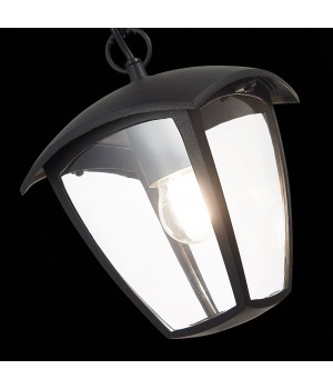 SL081.403.01 Светильник уличный подвесной ST-Luce Черный/Черный, Прозрачный E27 1*40W SIVINO-foto6