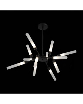 SL1620.402.12 Люстра потолочная ST-Luce Черный/Белый G9 12*5W SPLIO-foto6