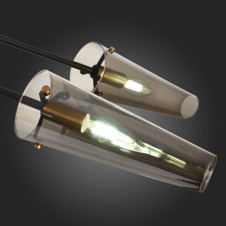 SL1209.302.06 Светильник потолочный ST-Luce Бронза,Черный/Дымчатый E14 6*40W MORAVE-foto3