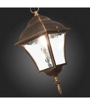 SL082.203.01 Светильник уличный подвесной ST-Luce Бронза/Бронза, Прозрачный E27 1*60W DOMENICO-foto9