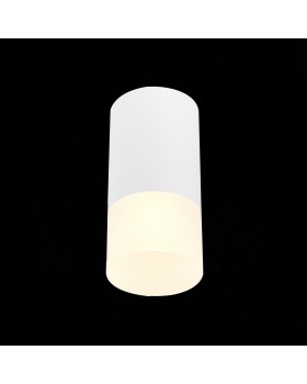 ST100.512.01 Светильник потолочный Белый GU10 1*50W IP20 D64xH131 220V Без ламп OTTU-foto3