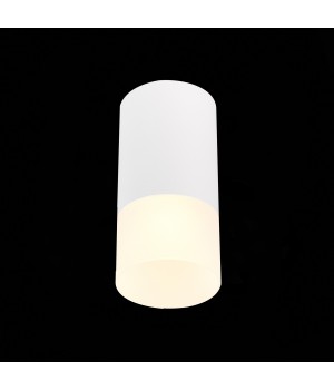 ST100.512.01 Светильник потолочный Белый GU10 1*50W IP20 D64xH131 220V Без ламп OTTU-foto3