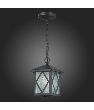 SL084.403.01 Светильник уличный подвесной ST-Luce Черный/Черный, Прозрачный E27 1*60W LORNE-foto8