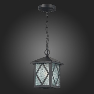 SL084.403.01 Светильник уличный подвесной ST-Luce Черный/Черный, Прозрачный E27 1*60W LORNE-foto8