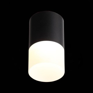 ST100.442.10 Светильник потолочный Черный LED 1*10W 4000K 780Lm Ra>80 120° D78xH135 170-240V OTTU-foto4