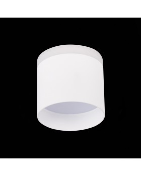ST102.542.09 Светильник потолочный Белый LED 1*9W 4000K 702Lm Ra>80 120° IP20 D79xH75 170-240V PANAGGIO-foto4