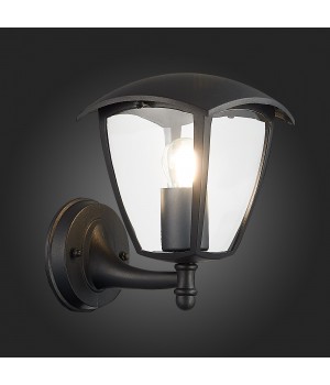SL081.401.01 Светильник уличный настенный ST-Luce Черный/Черный, Прозрачный E27 1*40W SIVINO-foto7