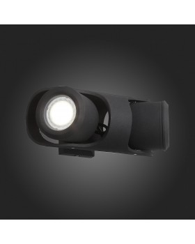 SL093.401.02 Светильник уличный настенный ST-Luce Черный/Черный, Прозрачный G5,3 2*3W ROUND-foto8