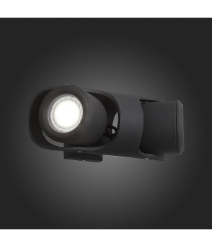 SL093.401.02 Светильник уличный настенный ST-Luce Черный/Черный, Прозрачный G5,3 2*3W ROUND-foto8