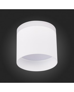 ST102.542.12 Светильник потолочный Белый LED 1*12W 4000K 936Lm Ra>80 120° IP20 D100xH90 170-240V PANAGGIO-foto6