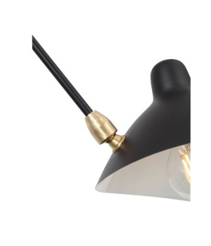 SL305.402.06 Люстра потолочная ST-Luce Черный/Черный, Белый E27 6*60W SPRUZZO-foto16