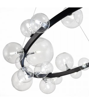 SL1165.403.24 Светильник подвесной ST-Luce Черный/Прозрачный G4 24*5W NECTON-foto10