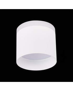 ST102.542.12 Светильник потолочный Белый LED 1*12W 4000K 936Lm Ra>80 120° IP20 D100xH90 170-240V PANAGGIO-foto4